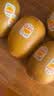 佳沛（zespri）新西兰金奇异果12粒特大果124-146g猕猴桃中秋节礼品送水果礼盒 实拍图
