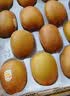 佳沛（zespri）新西兰金奇异果10个装单果重103-114g猕猴桃中秋节礼品送水果礼盒 实拍图
