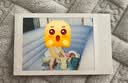 INSTAX富士instax立拍立得 mini相纸 白边双包20张(适用miniSE/11/12/40/90/LiPlay/EVO/Link3) 实拍图