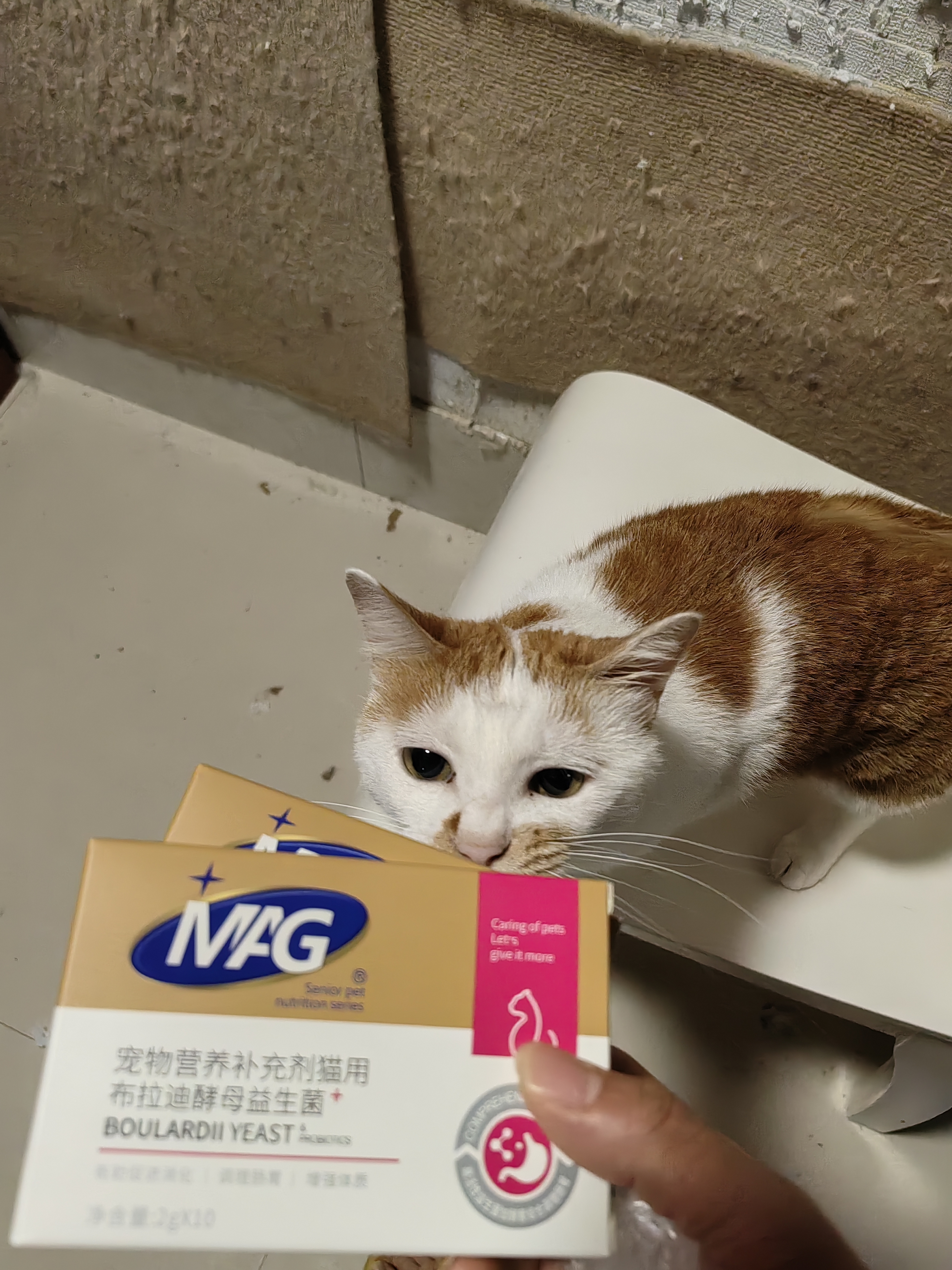 MAG【宠物金选】猫咪布拉迪益生菌猫用幼猫调理肠胃肠道宠物2g*10袋 实拍图