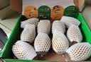 佳沛（zespri）新西兰金奇异果12粒特大果124-146g猕猴桃中秋节礼品送水果礼盒 实拍图