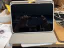 Apple/苹果 iPad mini (A17 Pro) 8.3英寸 平板电脑(128G WLAN版/mini7/MXN83CH/A)星光色 实拍图