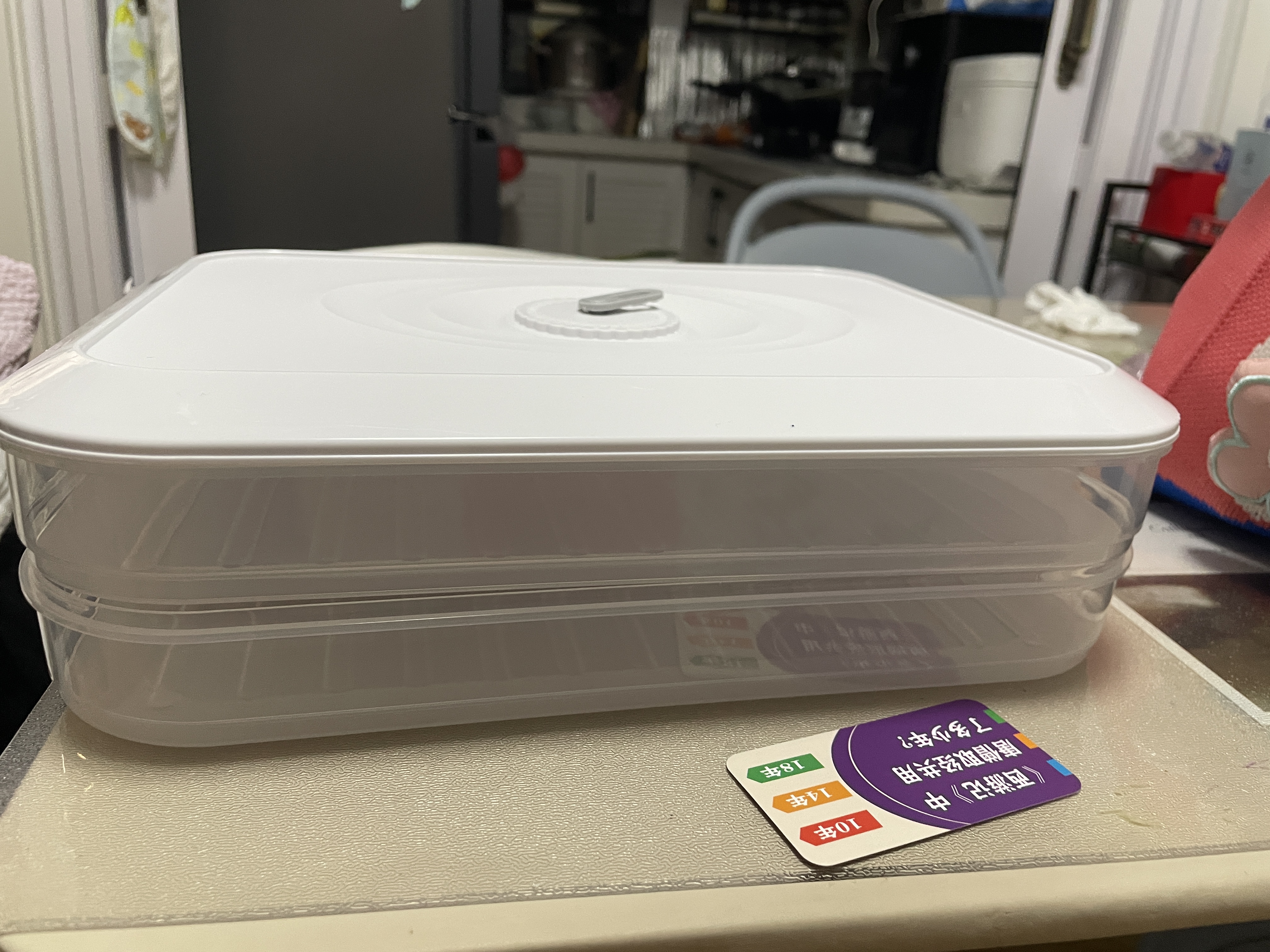 佳帮手饺子盒冰箱收纳盒食品级保鲜水饺馄饨冷冻存放分装盒专用托盘-2层 实拍图