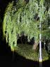 小野人激光炮大功率变焦夜钓鱼灯蓝光野钓紫光户外超亮远射四光源专用灯 实拍图