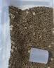 卫加狗粮成犬中大型犬幼犬粮德牧金毛罗威1-7岁犬粮2.5kg 实拍图