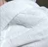 贝肽斯仿生胎脂护臀拉拉裤2XL32片（13-15kg）婴儿尿不湿纸尿裤大吸量 实拍图