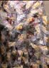 麦酥园铁棍山药小麻花饼干糖尿病人无糖精健康休闲零食品儿童孕妇400g 实拍图