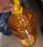 鲁花食用油 物理压榨 非转基因 玉米油6.18L 家用粮油 健康植物油 实拍图