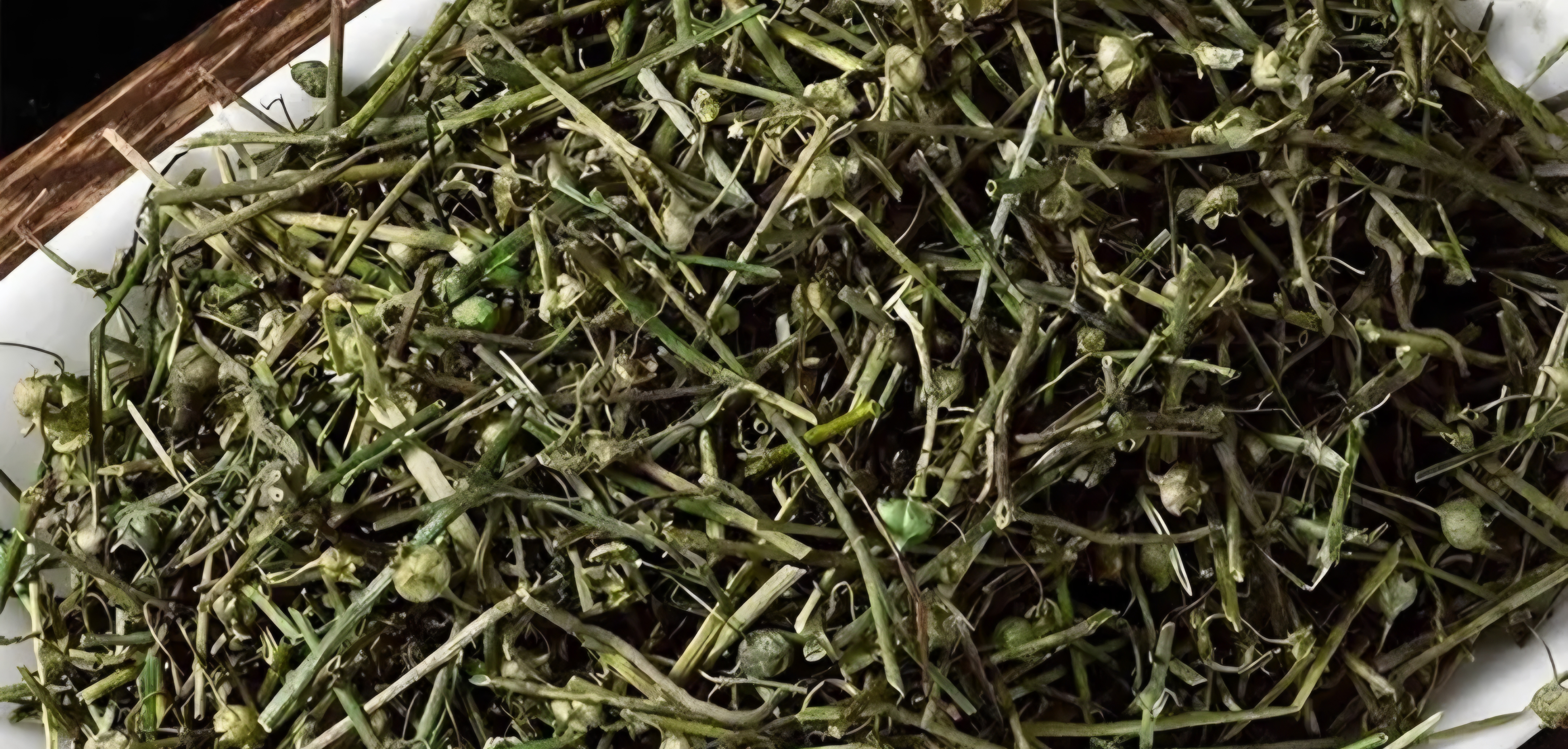 天然野生白花蛇舌草百花蛇舌草白花舌蛇草干中药材 另售半枝莲 白花蛇舌草500g 实拍图