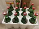 牛栏山二锅头 绿瓶口粮酒 绿牛二 清香型 白酒 56度 500ml*12瓶 整箱装 实拍图