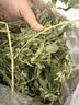 比克熊紫花苜蓿草幼兔兔粮烘干牧草干草龙猫荷兰猪磨牙饲料净重750g 实拍图