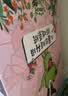 逻辑狗思维训练3-4岁早教思维机儿童幼儿园益智启蒙男孩女孩生日礼物 实拍图