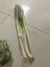 去根大葱约500g（平均葱白长度≥30cm） 实拍图