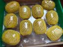 佳沛（zespri）新西兰金奇异果10粒巨大果146-175g猕猴桃中秋节礼品送水果礼盒 实拍图
