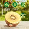 佳沛（zespri）新西兰金奇异果12粒特大果124-146g猕猴桃中秋节礼品送水果礼盒 实拍图