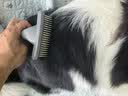 憨憨乐园宠物狗猫梳子猫毛狗狗毛猫咪梳毛器专用刷毛去除清理去浮毛神器 实拍图