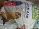 麦富迪狗粮 藻趣儿狗粮成犬粮牛肉螺旋藻 均衡营养2.5kg 实拍图