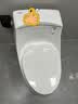 科勒（KOHLER）马桶圣拉菲尔虹吸冲水隔臭防溅缓降盖板坐便器线下实体店款4027 实拍图
