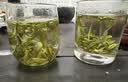 西湖牌【2026新茶上市】雨前浓香龙井茶叶250g传统纸包春茶绿茶 实拍图