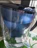 碧然德（BRITA）过滤净水器 家用滤水壶 净水壶 海洋系列 去水垢专家版滤芯11枚 环保加固包装 实拍图
