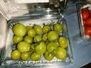 【水果菜】8°吮指小糖豆400g(小番茄) 实拍图