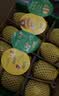 佳沛（zespri）金奇异果25-27粒原箱特大果124-146g猕猴桃中秋节礼品送水果礼盒 实拍图