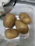 应季新土豆约500g 实拍图