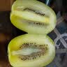 佳沛（zespri）新西兰金奇异果18粒优选果103-124g猕猴桃中秋节礼品送水果礼盒 实拍图