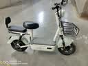 驰小虎电动自行车 吉祥虎新国标电动车电动自行车48V12Ah铅酸电池长续航电瓶车成人代步车电车 绿色 实拍图