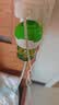 润本蚊香液电蚊香液驱蚊液定时加热器驱蚊防蚊蚊香无香型驱蚊水 【3档定时-2居室推荐】无味8液+2器 实拍图