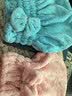 众福缘2个装干发帽女强吸水沐浴帽速干毛巾加厚包头巾长发可爱干发巾 湖蓝+胭红-公主帽 实拍图