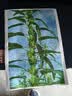 佳能（Canon）G3811/G3836墨仓式原装连供打印机复印扫描家用办公手机无线一体机小型彩色喷墨A4 G3811【手机电脑无线连接+打印复印扫描】 基础套餐一【主机+原装墨水一套+基础打印机套装 实拍图