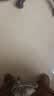 知微美重油污清洁剂浓缩型25L厨房油烟机地面油污净工业机械设备除垢剂 实拍图
