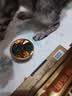 多特思猫罐头招财金饭碗68g猫主食罐头奶糕成幼猫全价湿粮餐盒猫饭 实拍图