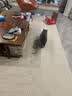 LEGENDSANDY蓝氏猫零食全价主食猫条成猫幼猫鲜肉猫湿粮罐头鲣鱼兔肉味16g*12 实拍图