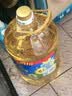 金龙鱼 食用油 物理压榨葵花籽油6.18L 实拍图