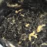 乐品乐茶茉莉花茶茶叶特级川派横县飘雪浓香绿茶新茶袋装250g冷泡茶自己喝 实拍图