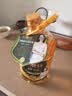 长寿花金胚玉米油 4L 非转基因压榨一级食用油 实拍图