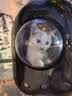licheers猫包外出大号宠物背包便携太空舱猫笼双肩透气大容量猫咪书包 实拍图