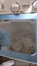 康佳（KONKA）半自动双桶双缸8公斤 全自动洗衣机玻璃盖板脱水甩干机 以旧换新 618家电国家补贴 XPB80-318S 实拍图