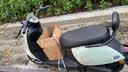 台铃电动摩托车萌啦2026新款82公里长续航电动车1000W电瓶车60V20Ah铅酸电池外卖通勤代步电摩茵茵绿 实拍图
