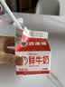 香满楼 屋仔盒装鲜牛奶组装 236ml*6盒 3.3g/100ml乳蛋白巴氏杀菌早餐奶 实拍图