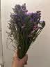 爱满云南勿忘我干花鲜花摆件客厅装饰真花插花满天星花束节日生日搭配 粉色+深紫+浅紫勿+情人草 约20支 实拍图