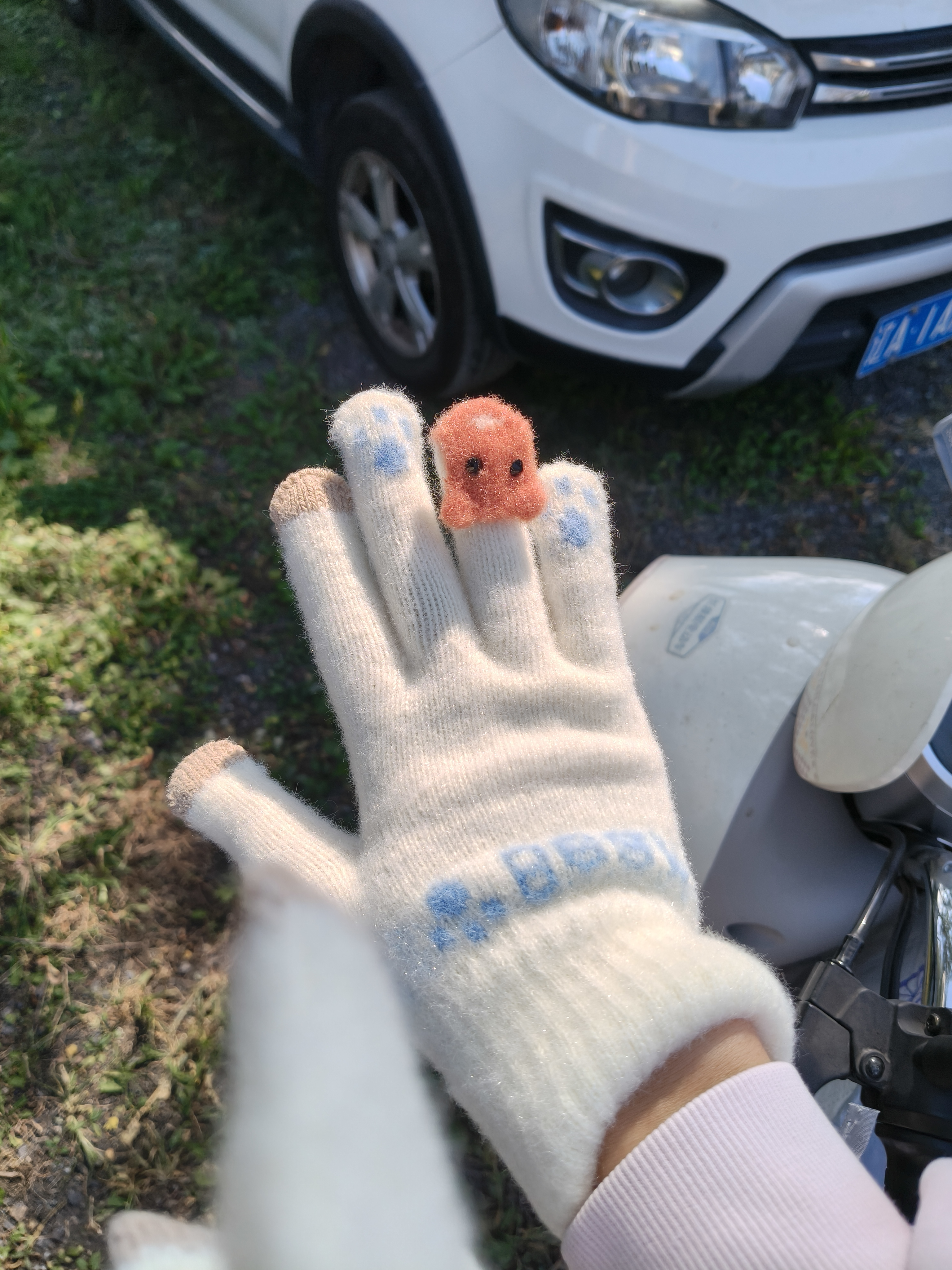 雪茜曼毛绒针织五指手套女士冬季保暖加厚学生触屏骑车冬天防寒防风手套 实拍图