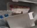 正大鸡全腿2斤 鸡腿鸡肉鸡腿肉生鲜早餐烤鸡大腿炸大鸡腿鸡肉 实拍图
