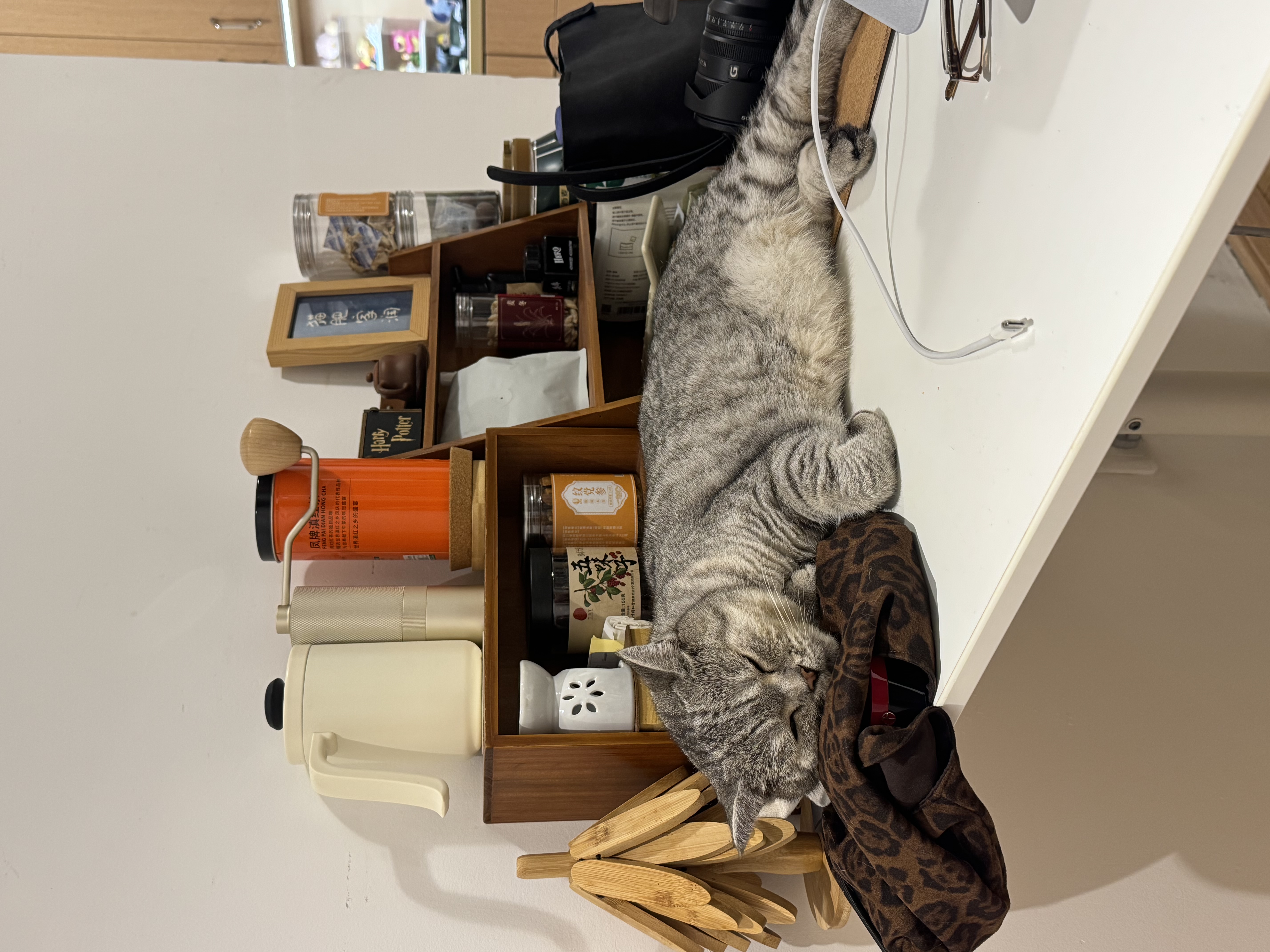 [Oxyfresh] 奥可亲猫犬通用宠物洁齿水237ml 清洁牙齿预防口臭 可直接饮用 实拍图