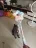 许翠花猫玩具猫咪逗猫棒星星造型发声逗猫棒长杆53cm 实拍图