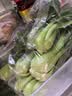 上海青约500g(油菜) 实拍图