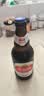 燕京啤酒 小黑金 臻享原酿12°P白啤酒 300ml*12瓶 整箱装 中秋节送礼 实拍图