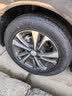 固特异（Goodyear）汽车轮胎205/60R16 92V 鹰驰F1酷跑 适配 轩逸/新福克斯 御乘升级 实拍图